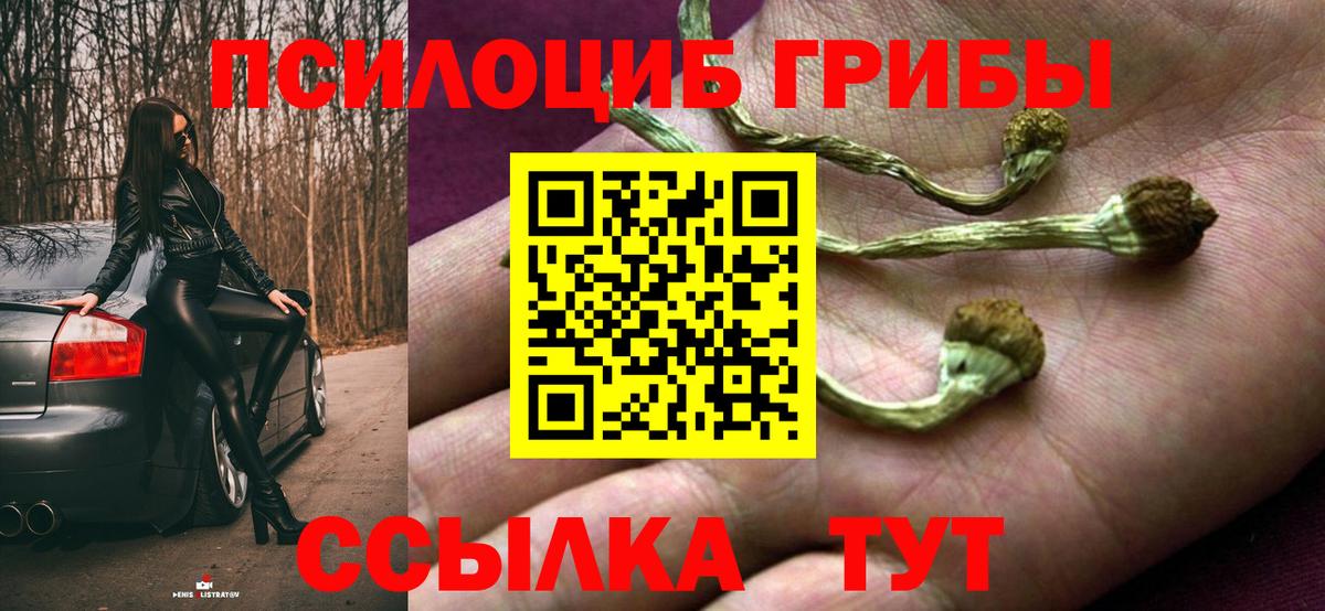 Галлюциногенные грибы прущие грибы Феодосия